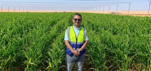 تصميم بدون عنوان - 1