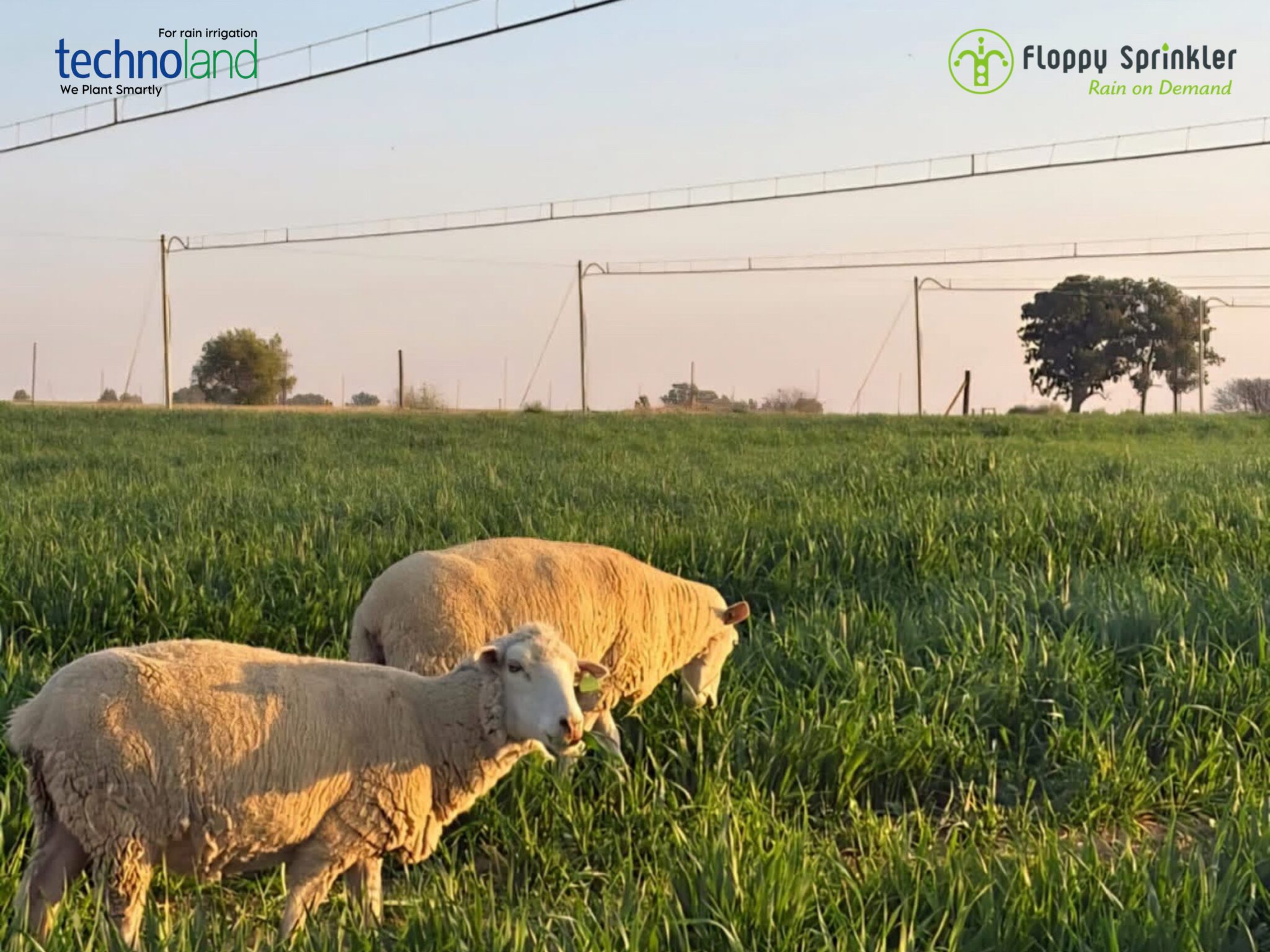 تصميم بدون عنوان - 1