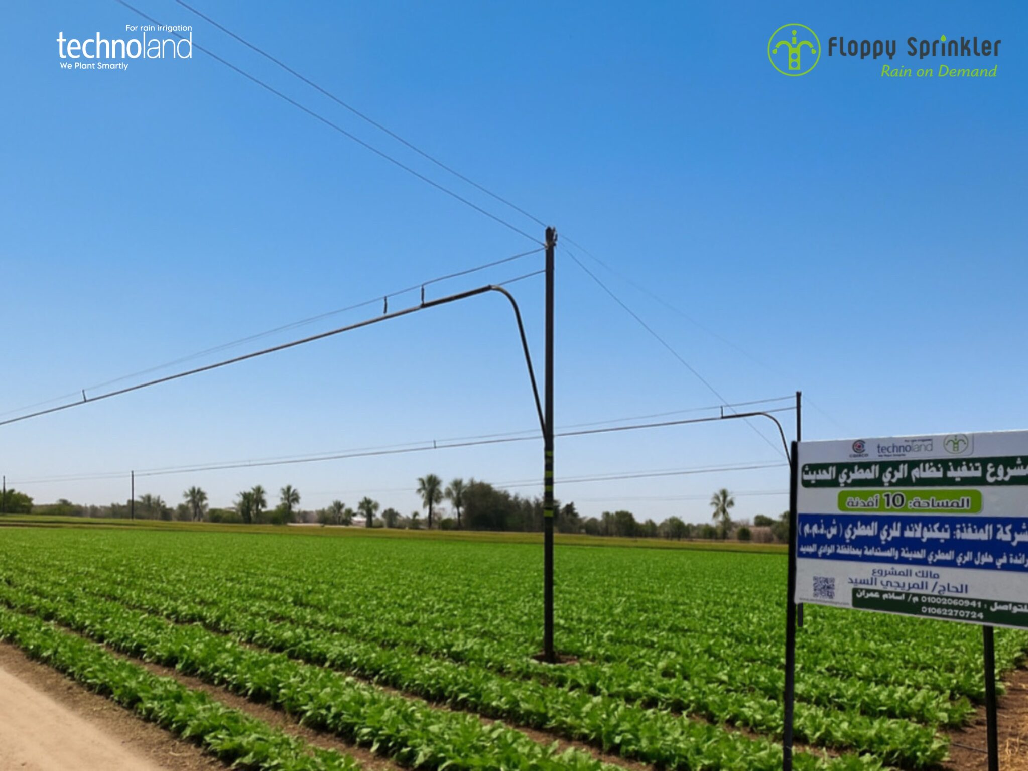 تصميم بدون عنوان - 1