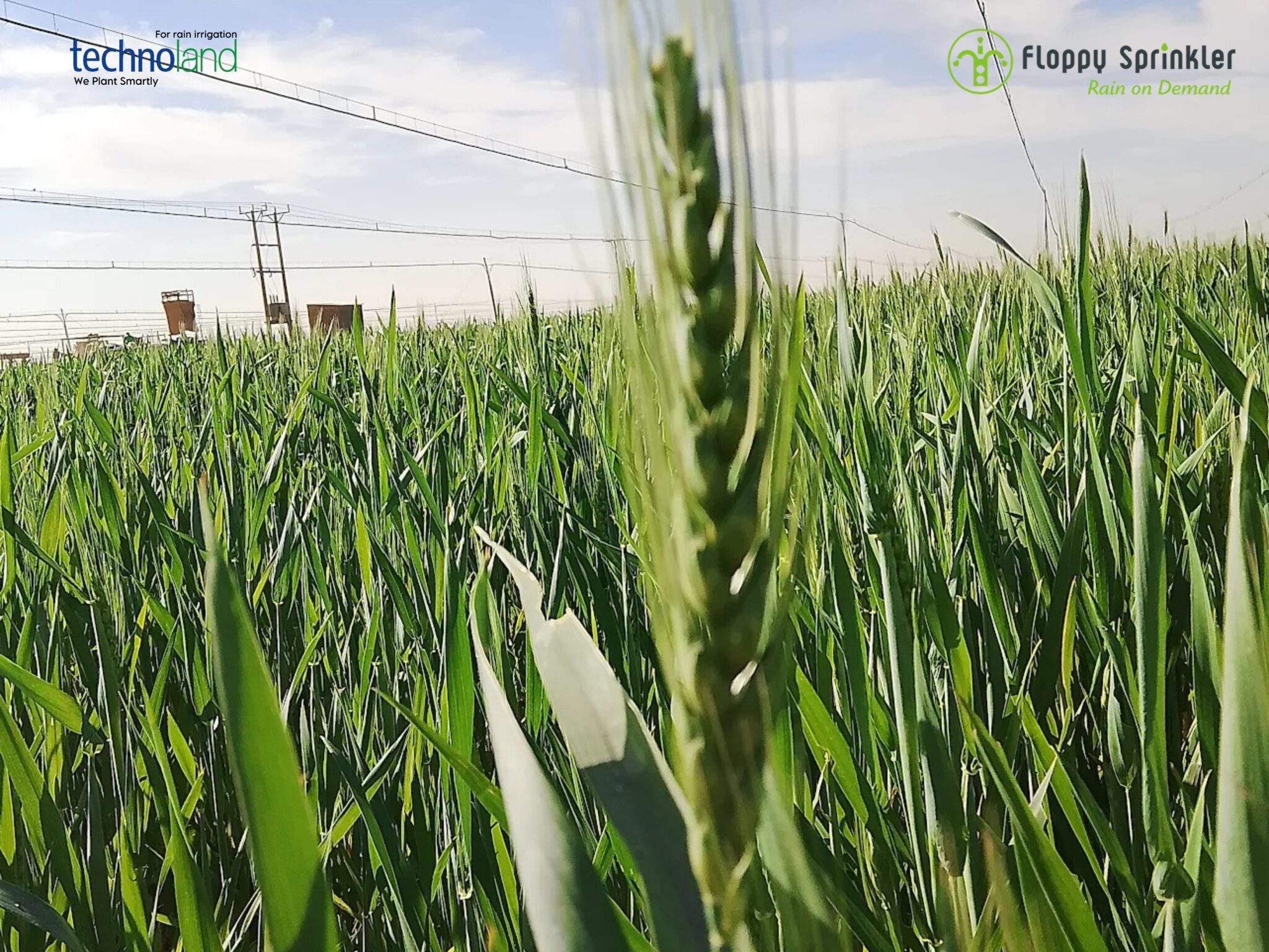 تصميم بدون عنوان - 1