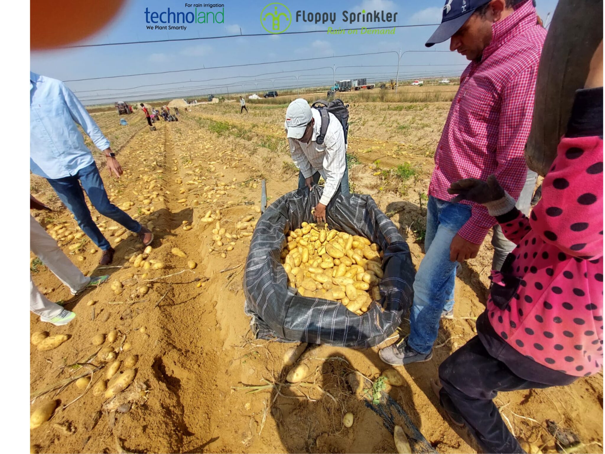 تصميم بدون عنوان - 1