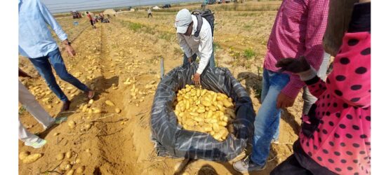 تصميم بدون عنوان - 1