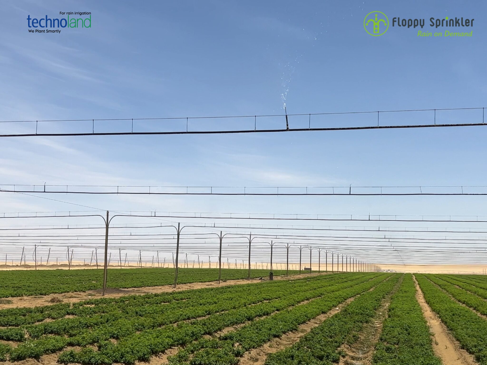 تصميم بدون عنوان - 1