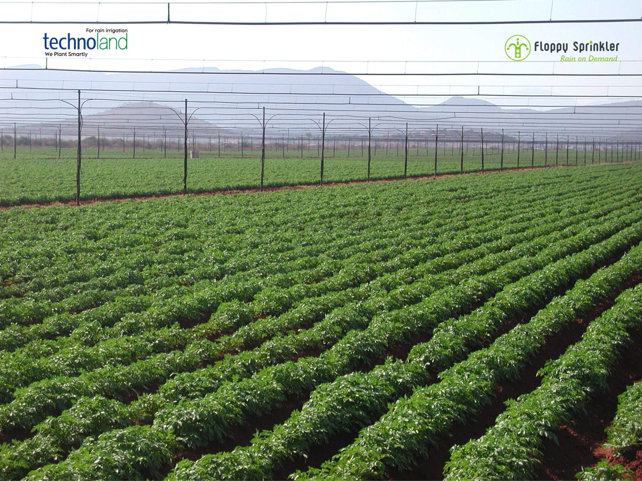 تصميم بدون عنوان - 1