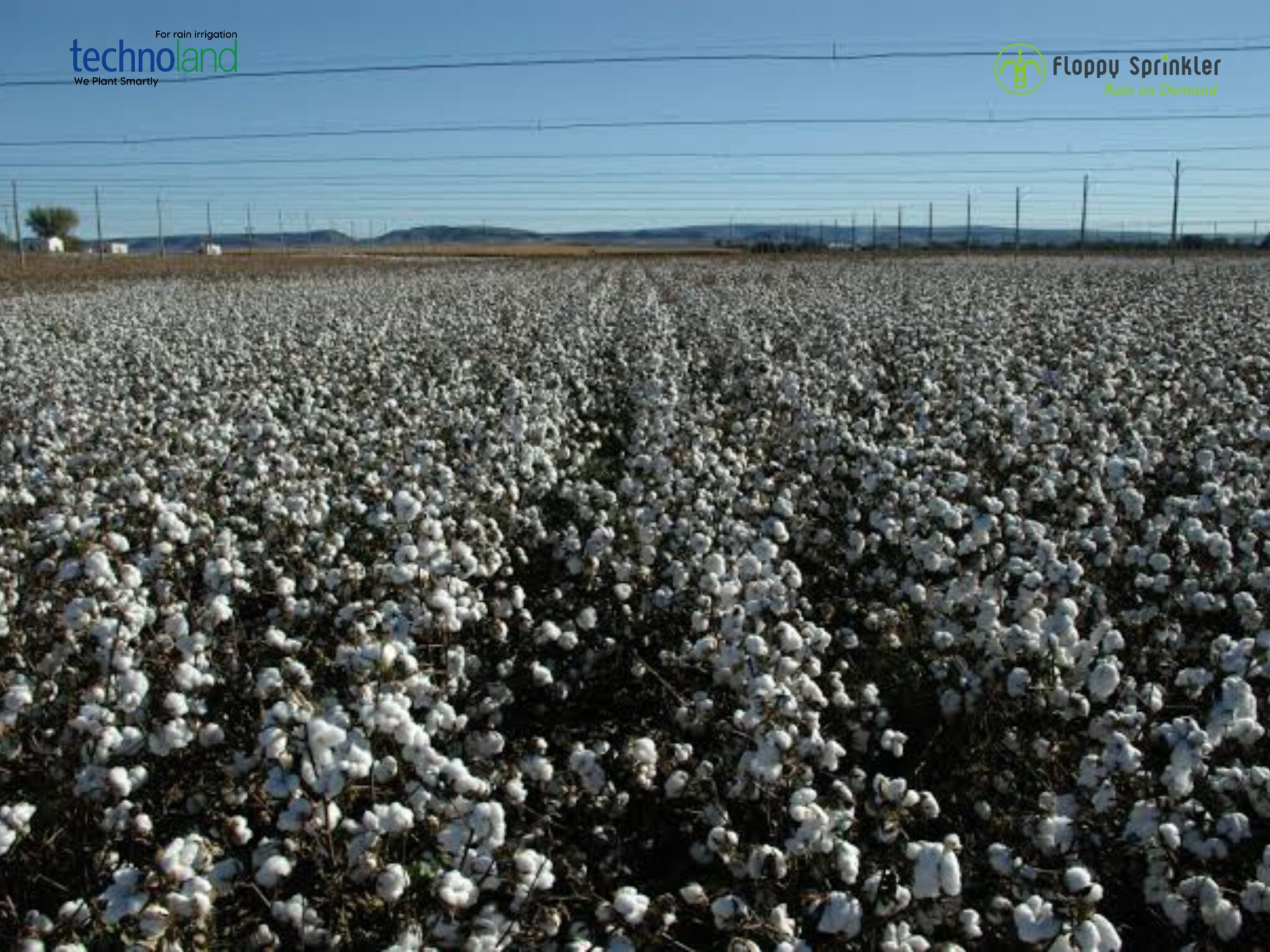 تصميم بدون عنوان - 1