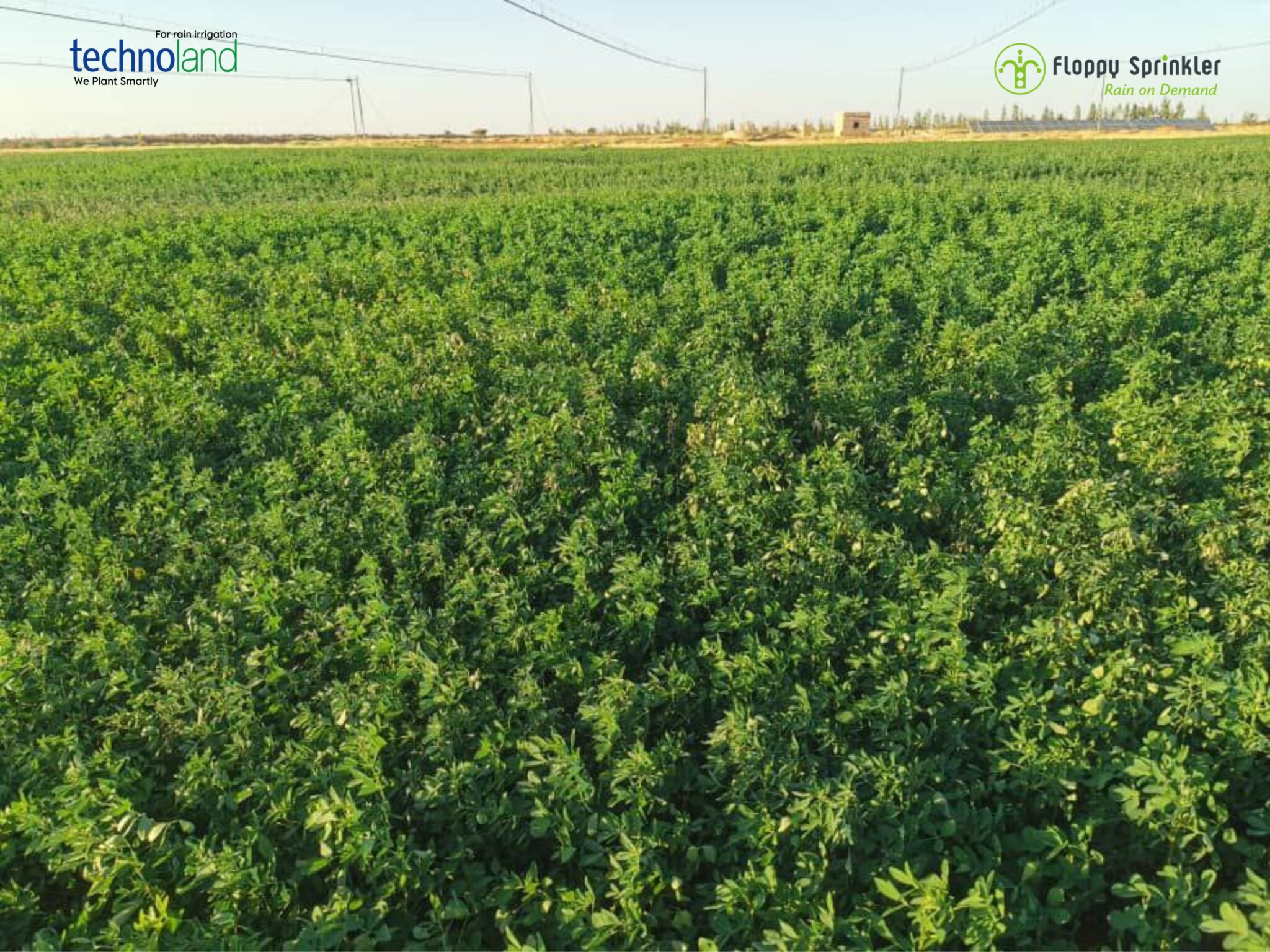 تصميم بدون عنوان - 1