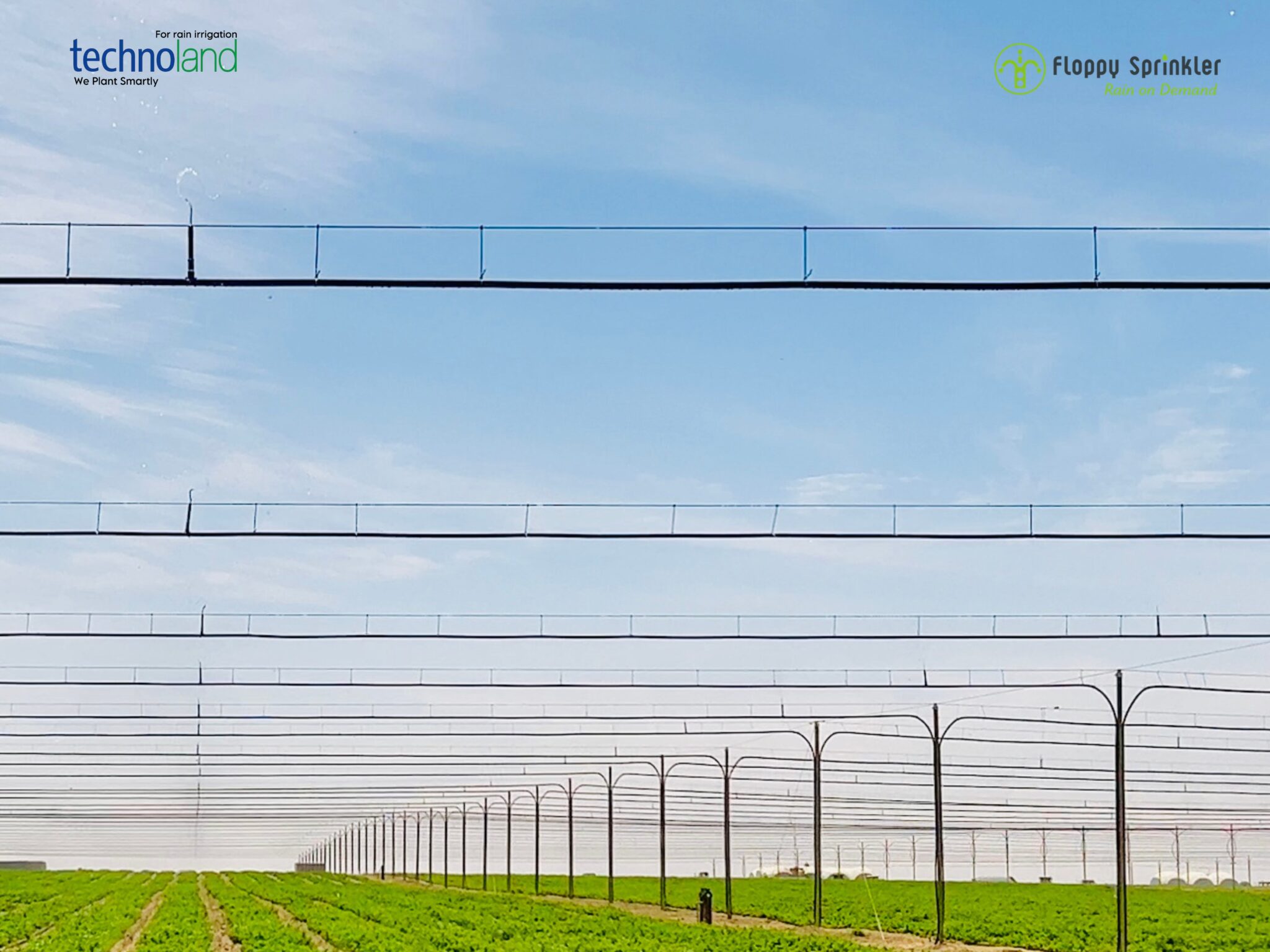 تصميم بدون عنوان - 1