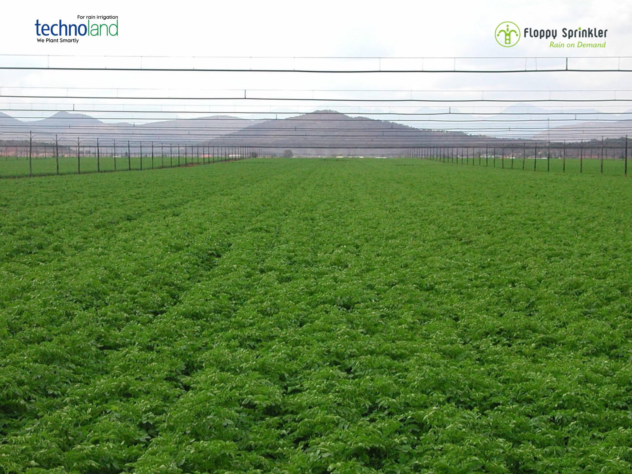 تصميم بدون عنوان - 1