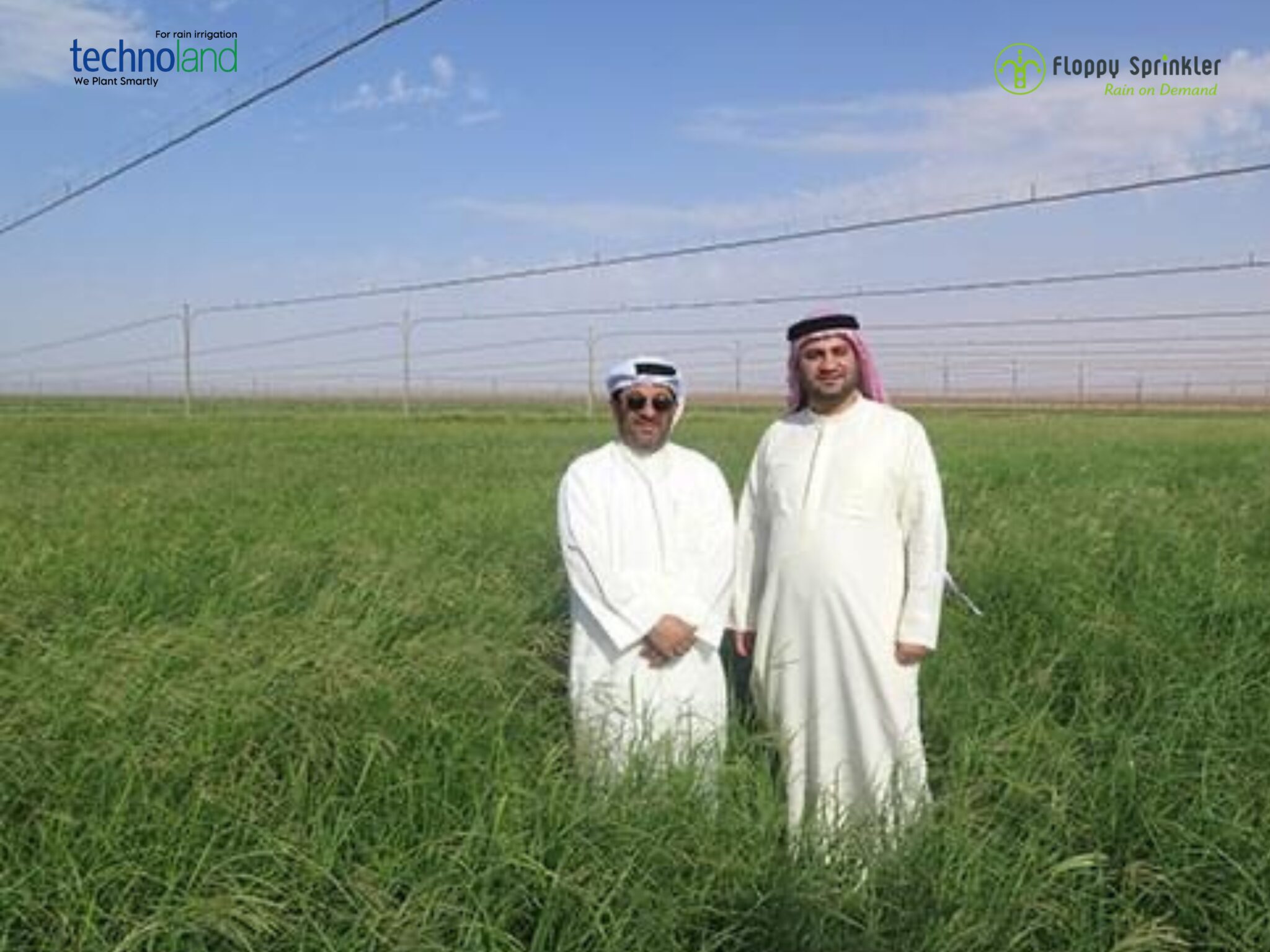 تصميم بدون عنوان - 1